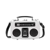 Retro Radio-Shaped PU Crossbody Bag with Sequin Detail White color SKU reference